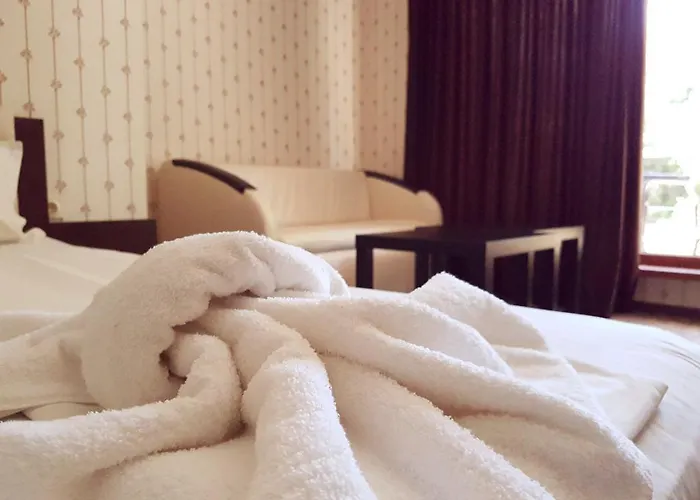 Guest house Saint Apostol 2*