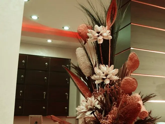 Guest house Saint Apostol 2*