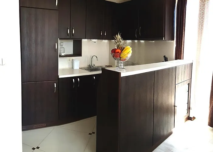 Guest house Saint Apostol 2*