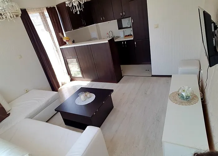 Guest house Saint Apostol 2*