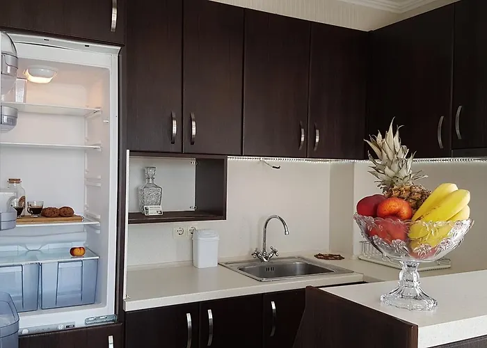 Guest house Saint Apostol 2*